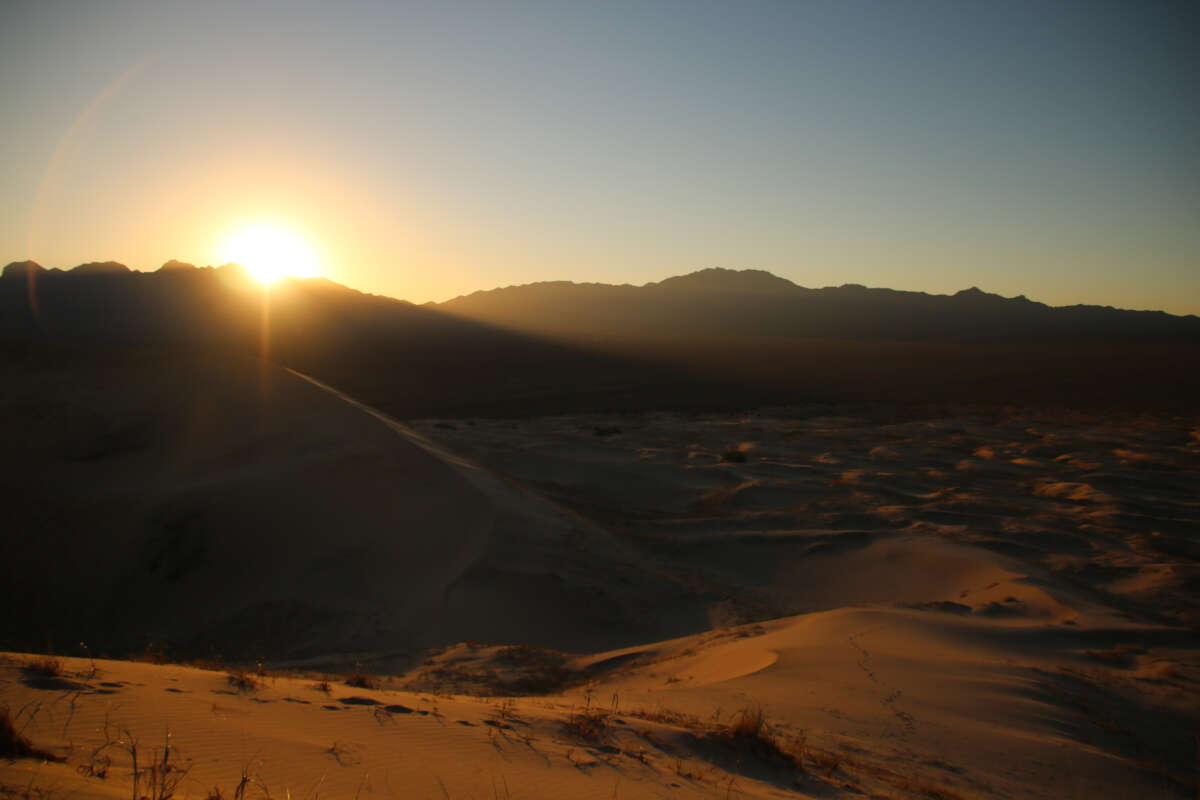 Mojave Desert Landscape