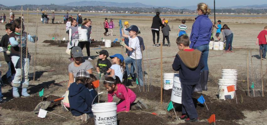 STRAW students and teachers working on a watershed restoration project. Photo Credit: STRAW Program of Point Blue
