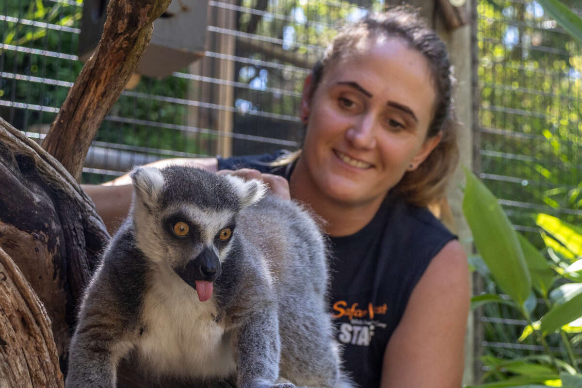 Rose with Lemur