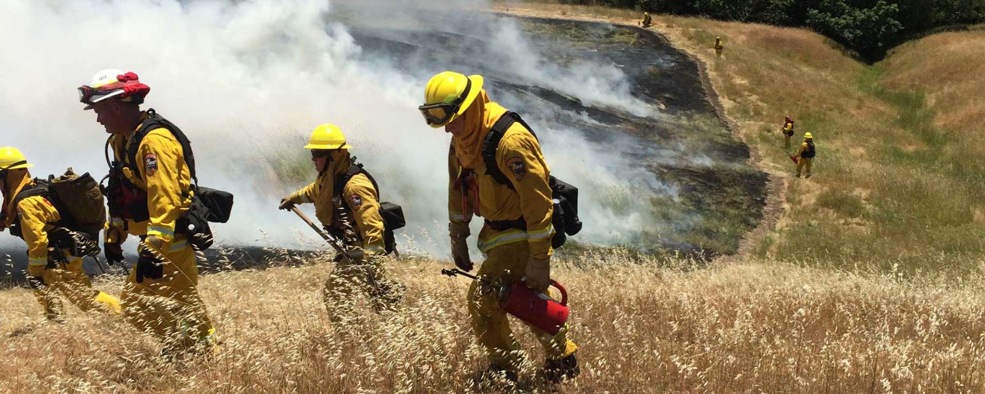 Prescribed Burns by M Halbur
