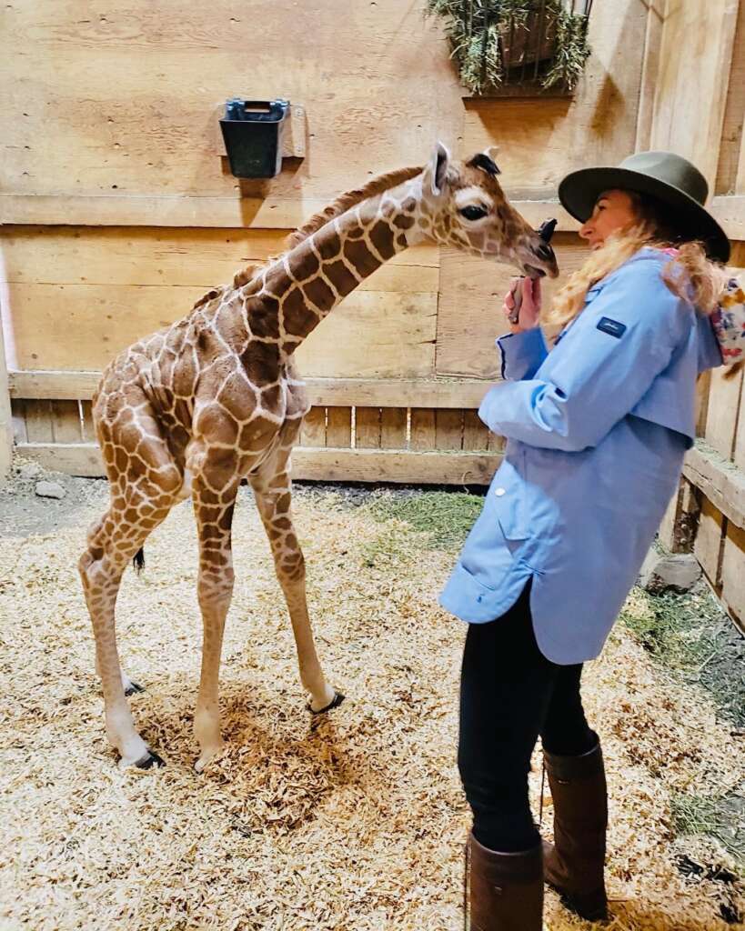 Vet Emily with Grace the Giraffe