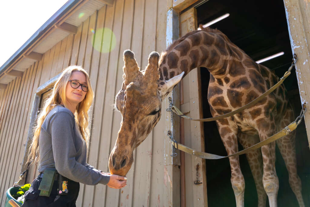 Ellie and Jango the Giraffe