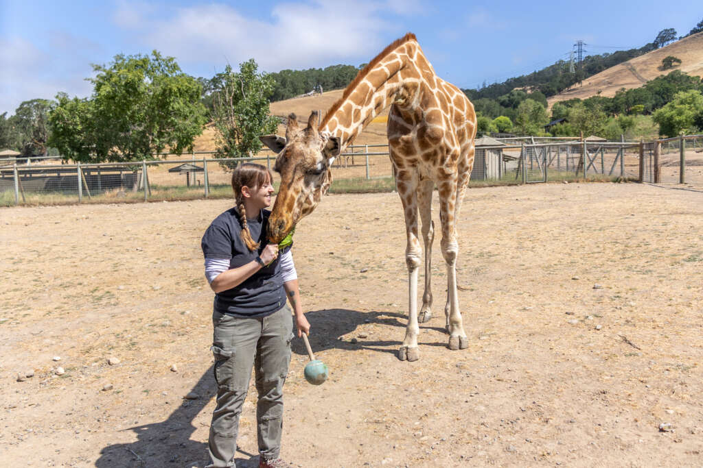 Erika and Kulula the Giraffe