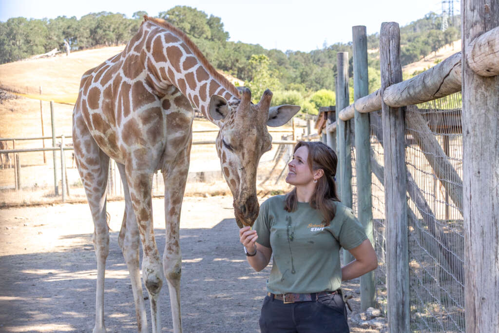 Faye and Mabel the Giraffe