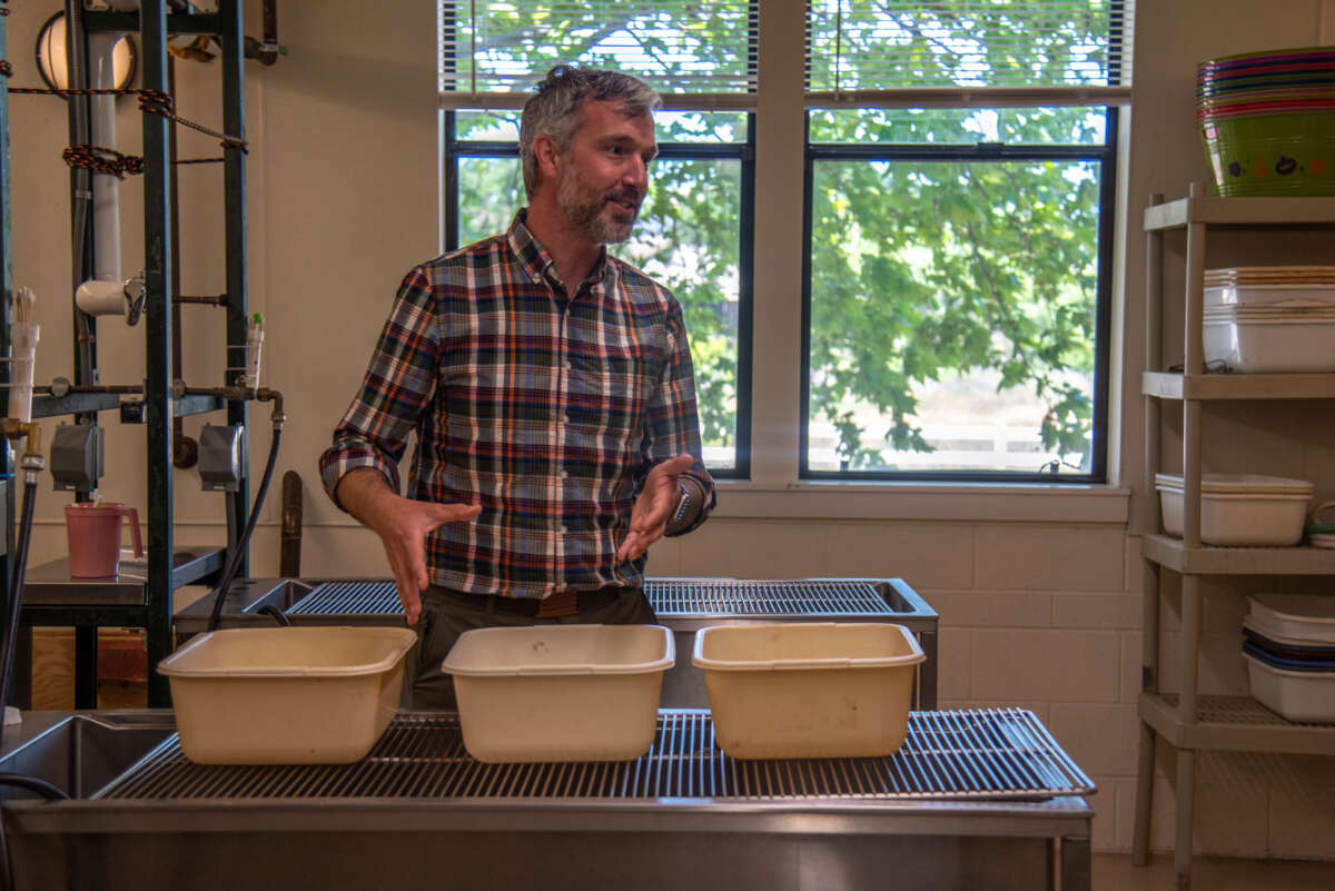 JD Bergeron of International Bird Rescue