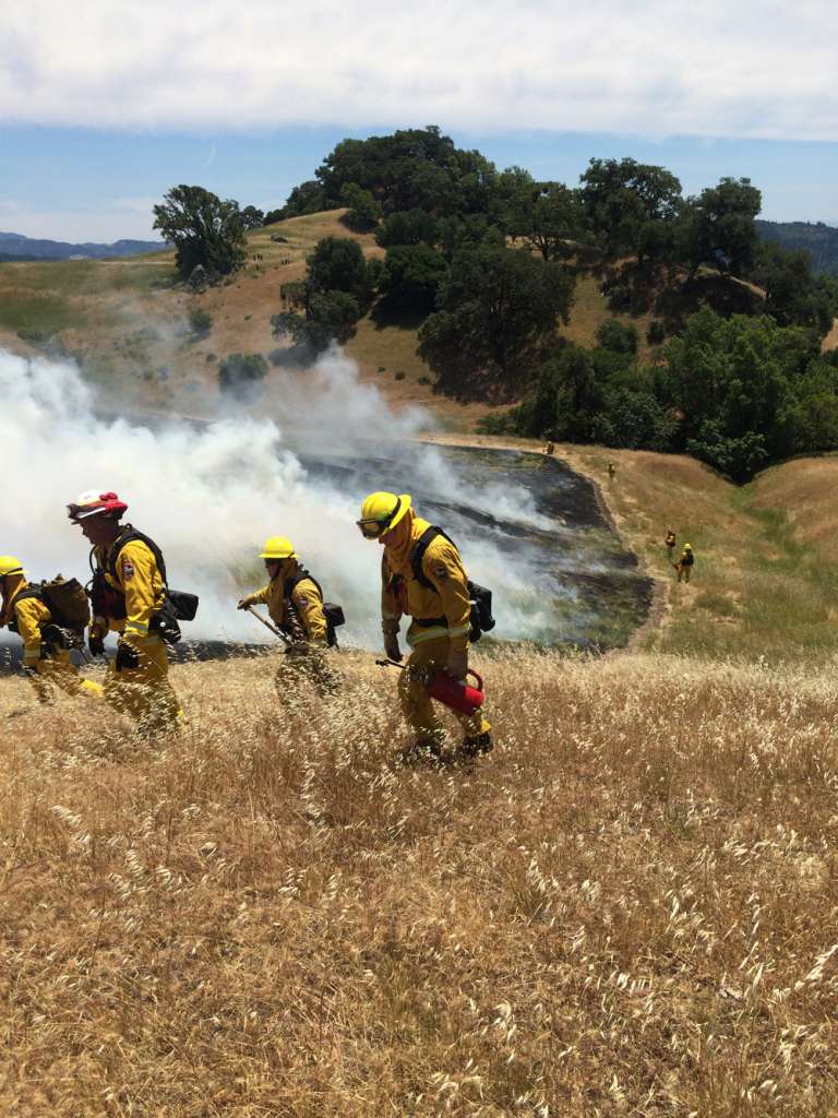 Prescribed Burns Pepperwood