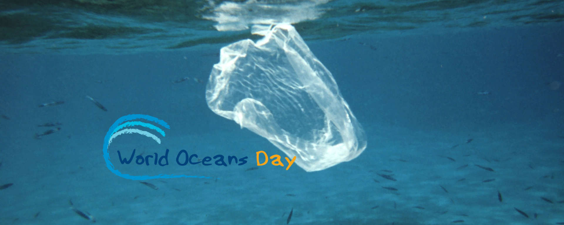 World Oceans Day