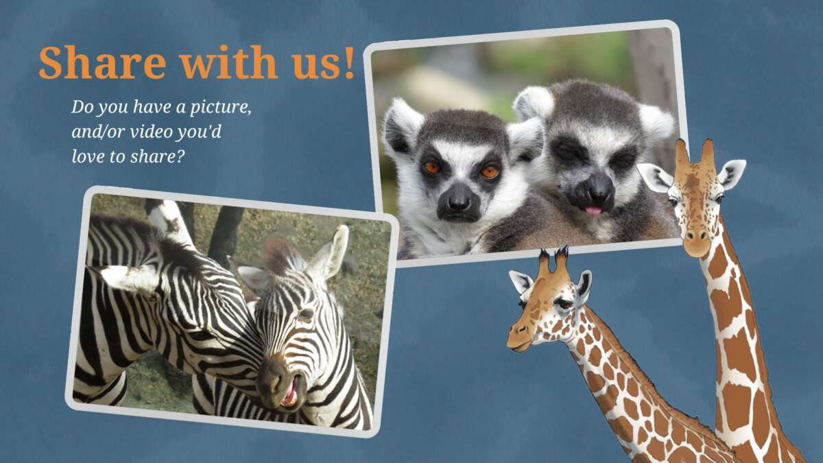 Share your experience with us