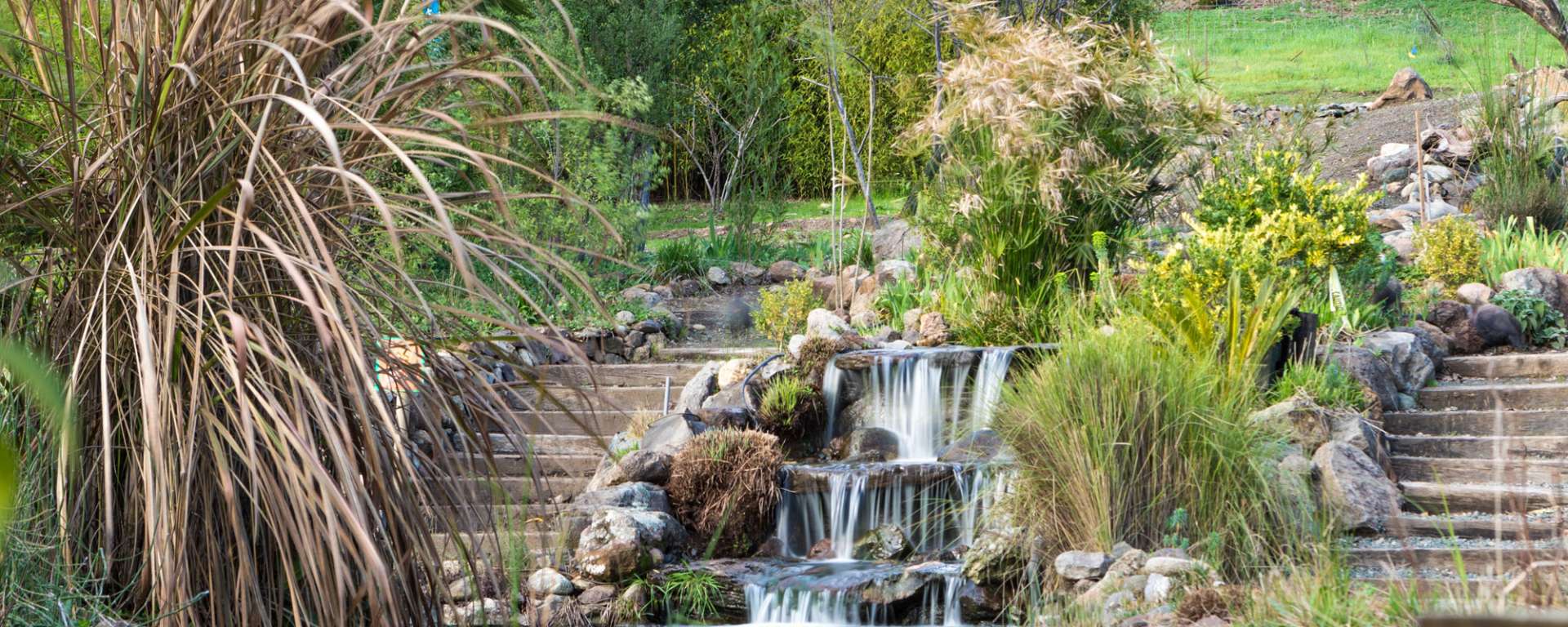 Lemur Island Koi Pond