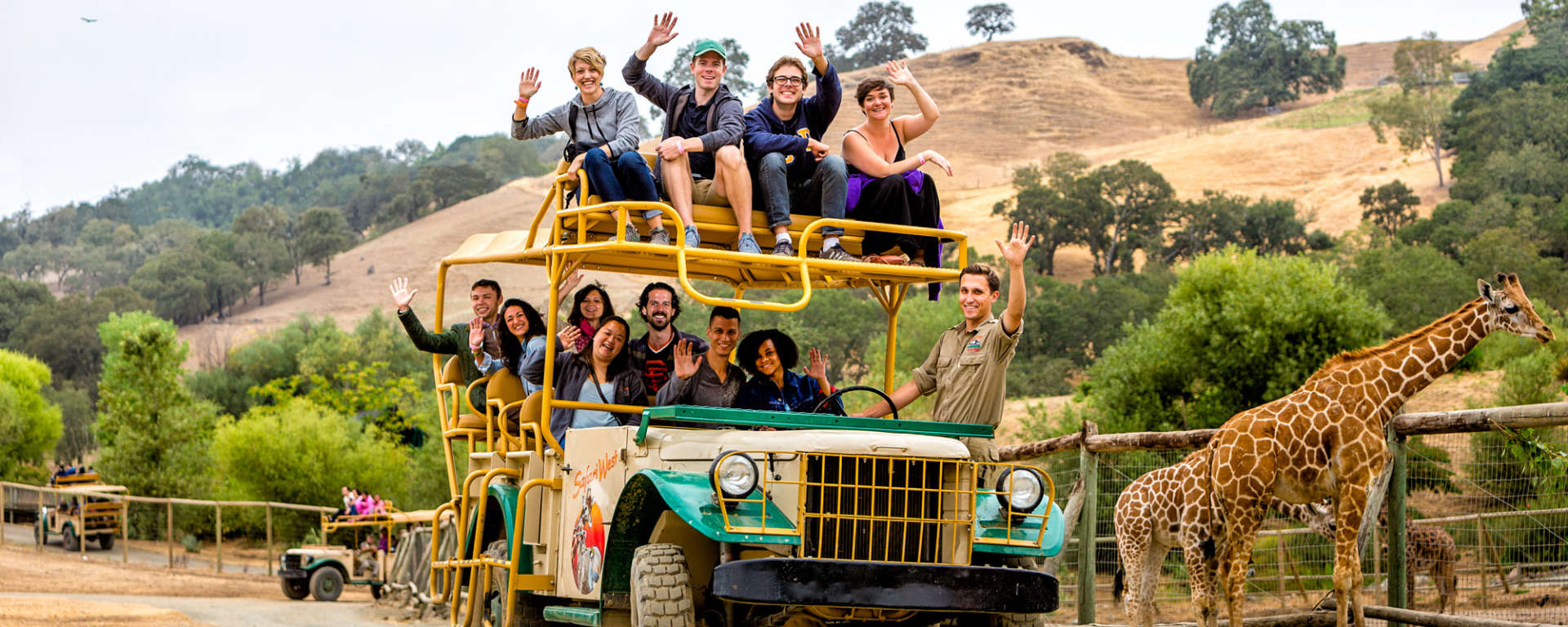 Safari Adventure by Ray Mabry